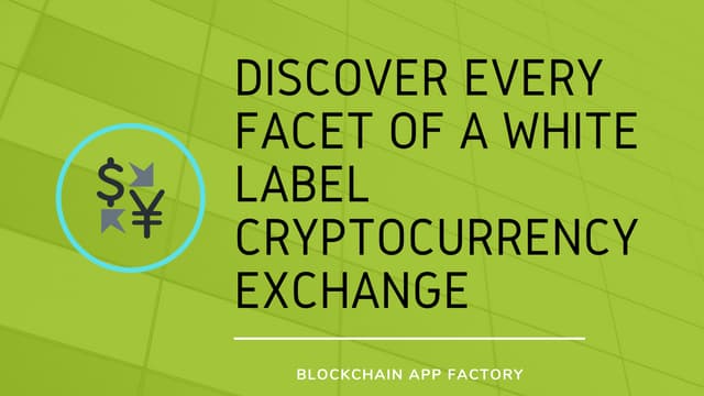 Discover every facet of a white label cryptocurrency exchange