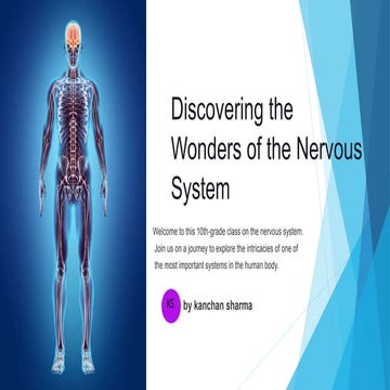 Discovering-the-Wonders-of-the-Nervous-System.pptx
