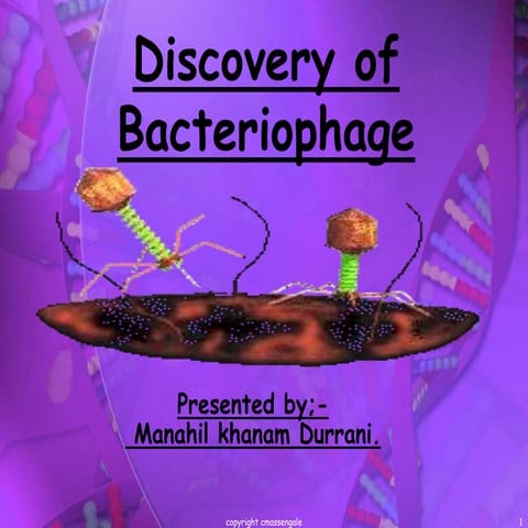 Discovery of bacteriophage