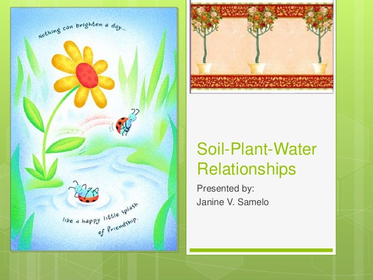 Soil Plant Water Relationships