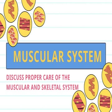 Discuss proper care of the muscular and skeletal system.pptx