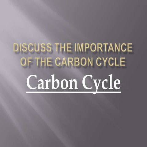  the importance of the carbon cycle
