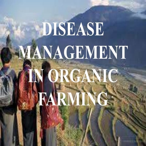 Disease management in organic crops