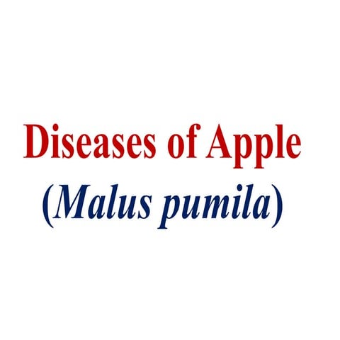 Disease of apple in detail study with example.pptx