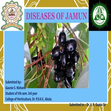 Diseases of Jamun as per the climatic conditions of India and Asian ...