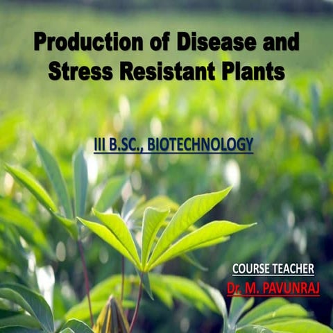 Disease resistant plant