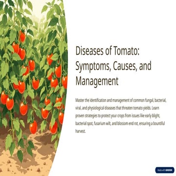 Diseases-of-Tomato-Symptoms-Causes-and-Management.pptx