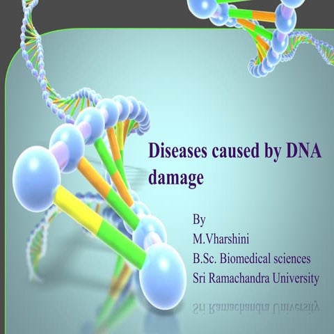 Diseases caused by dna damage