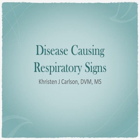Diseases+causing+respiratory+signs+2024.pdf