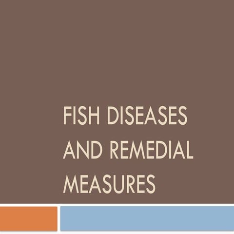 Fish Diseases and remedial measures.pptx
