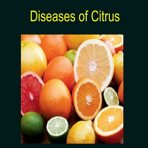 Diseases of citrus