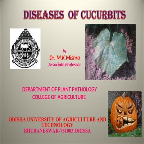 Cucurbits. pests and diseases management | PPTX