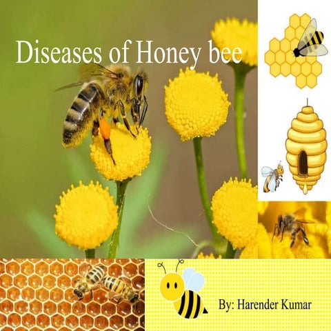 Diseases of Honey bee.pptx