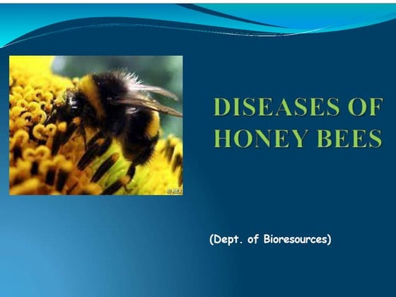 Disease of honeybees | PPT
