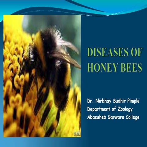 Diseases of honey bees 