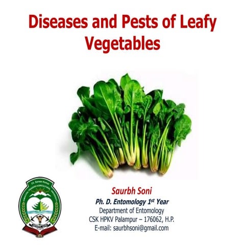 Diseases of leafy vegetables