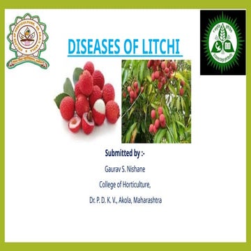 Severe diseases of Litchi observed in India