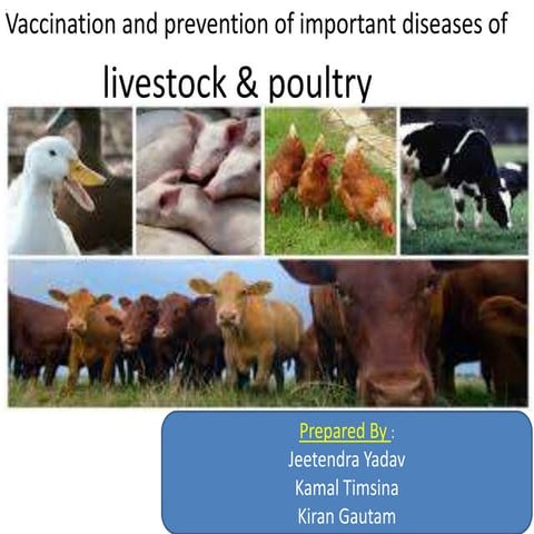 Diseases of livestock and poultry