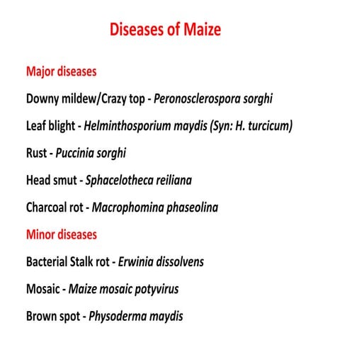 Diseases of maize, sorghum and pearl millet.ppt