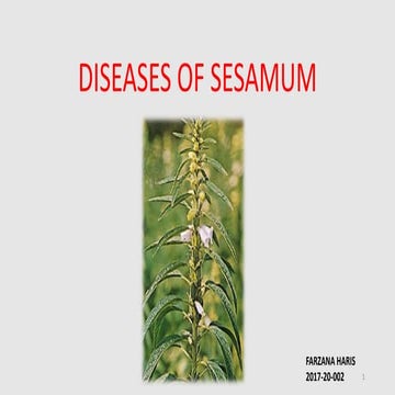 DISEASES OF SESAMUM.pptx