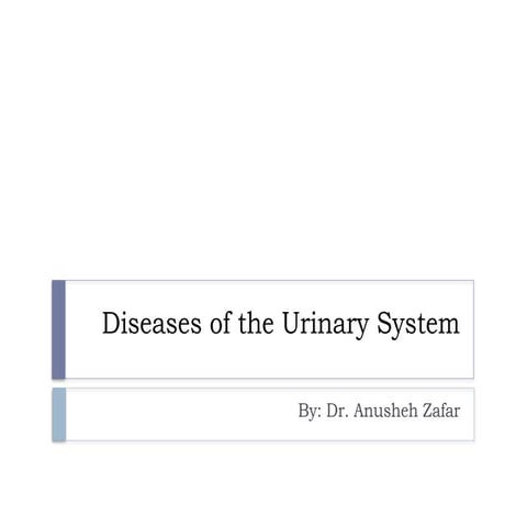 Diseases of the Urinary System (disorders)