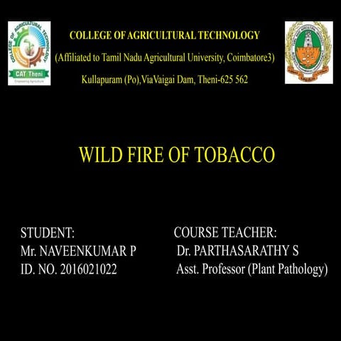 what does tobacco do to the human body Smoking Tobacco Health Effects