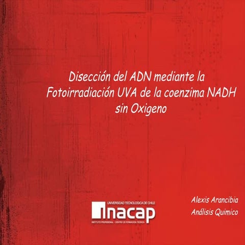 DiseccióN Del Adn Mediante La FotoirradiacióN Uva De La Coenzima Nadh Sin Oxigeno