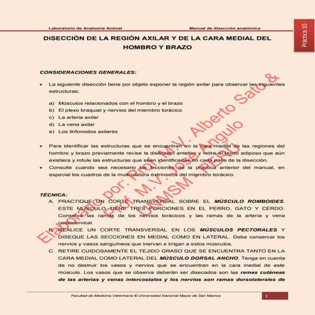 MANUAL DE DISECCIÓN DE ANATOMÍA ANIMAL. Disección del espacio axilar