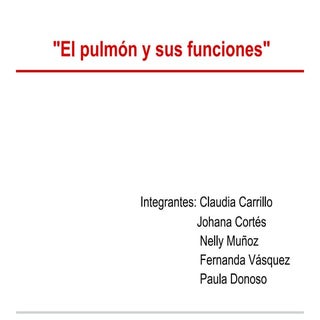 Disección del pulmón de una vaca