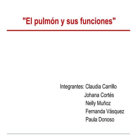 Disección del pulmón de una vaca