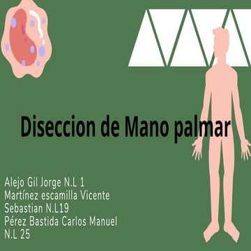 Detailed Anatomical Dissection and Function of Palmar Hand Muscles | PDF