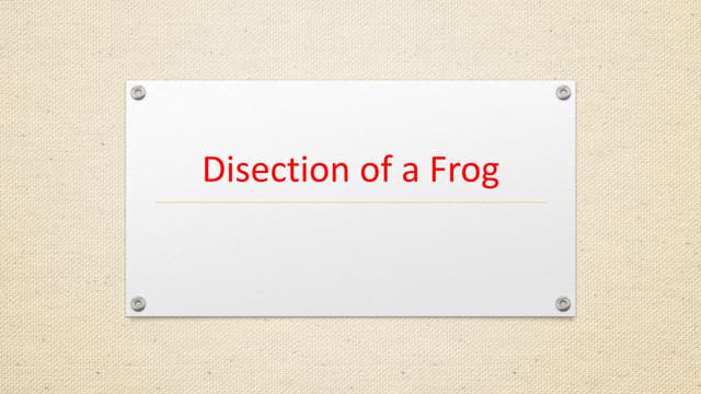 Frog dissection powerpoint | PPTX