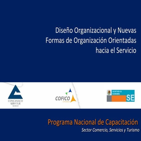 Diseño Organizacional