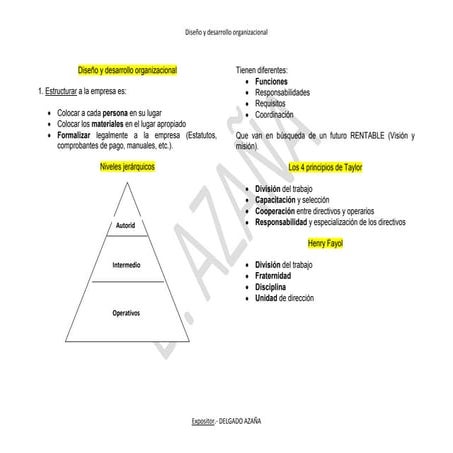 Diseñ organizacional DELGADO AZAÑA