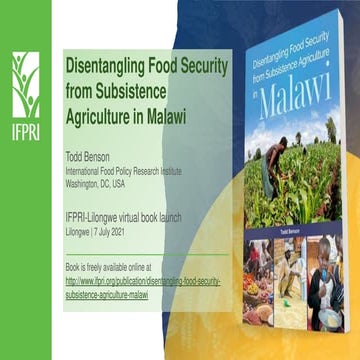 Disentangling food security from subsistence ag malawi t benson_july_2021-min