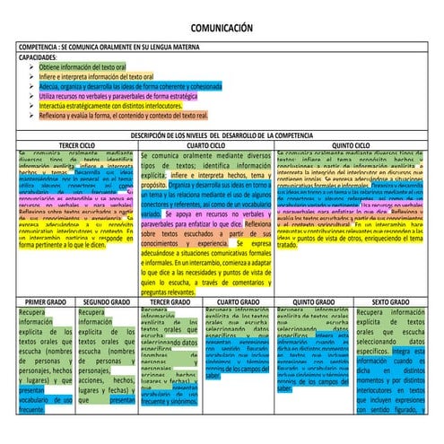 DISEÑO CURRICULAR POR COLOR.docx