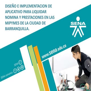 DISENO E IMPLEMENTACION DE  MIPYMES 