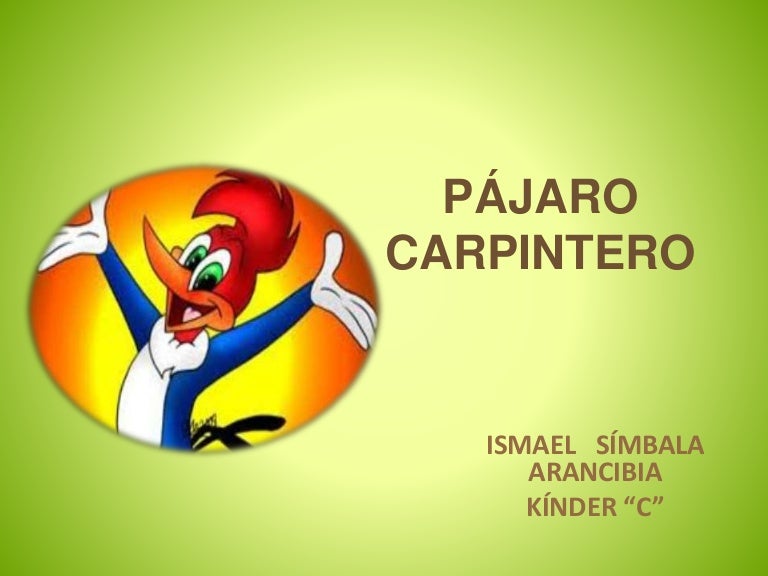 El Pájaro Niños Presentación Pájaro Carpintero Presentación El Carpintero 53RAjLq4