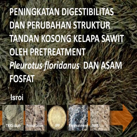 Perubahan Struktur dan Peningkatan Digestibilitas Tandan Kosong Kelapa Sawit oleh Pleurotus floridanus dan Asam Fosfat - Disertasi
