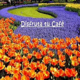 Disfruta tu cafe