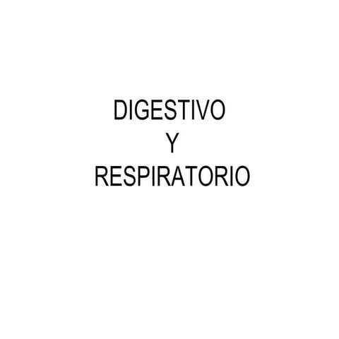 Disgestivo y respiratorio