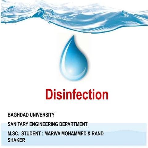 Disinfection Process