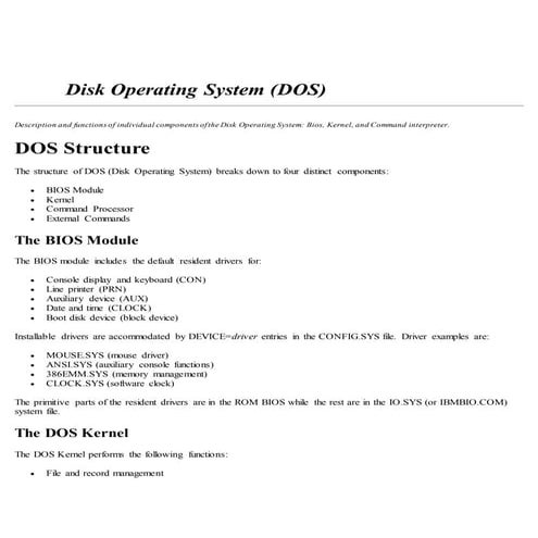 Disk operating system