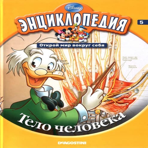 Disney том 05. тело человека (энциклопедия. открой мир вокруг себя ...