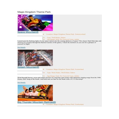 A Complete Guide To Walt Disney World 5.0 | RTF