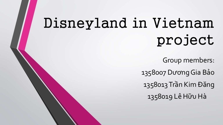 Disneyland In Vietnam Project International Business Course