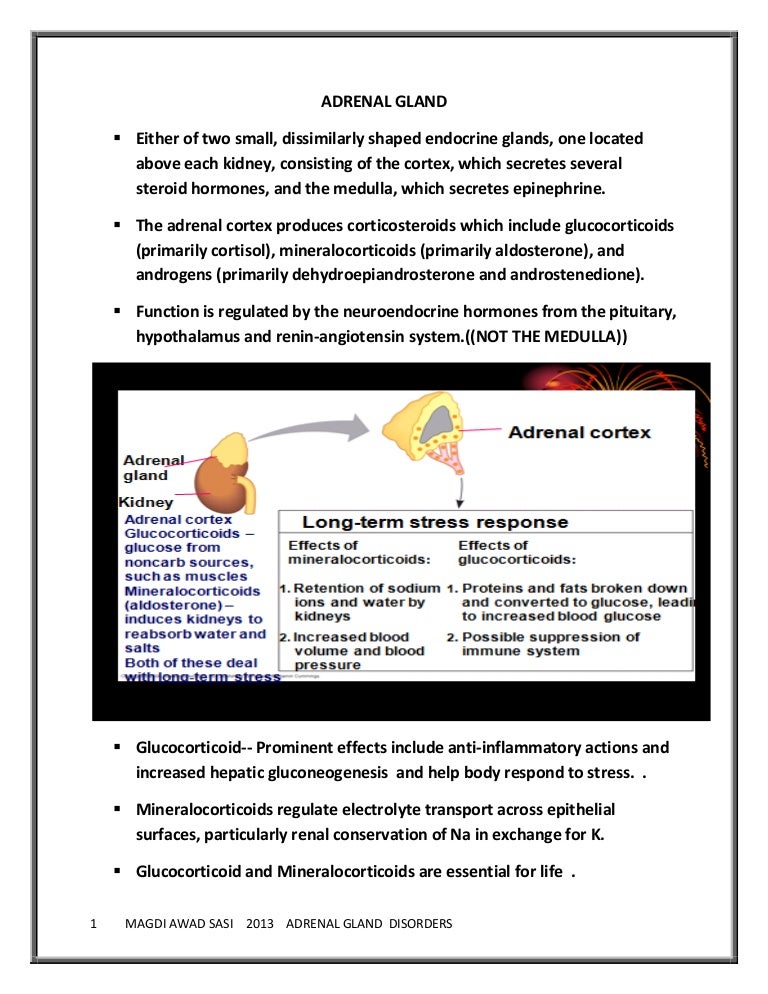 adrenal gland issues in dogs adrenal gland issues in dogs