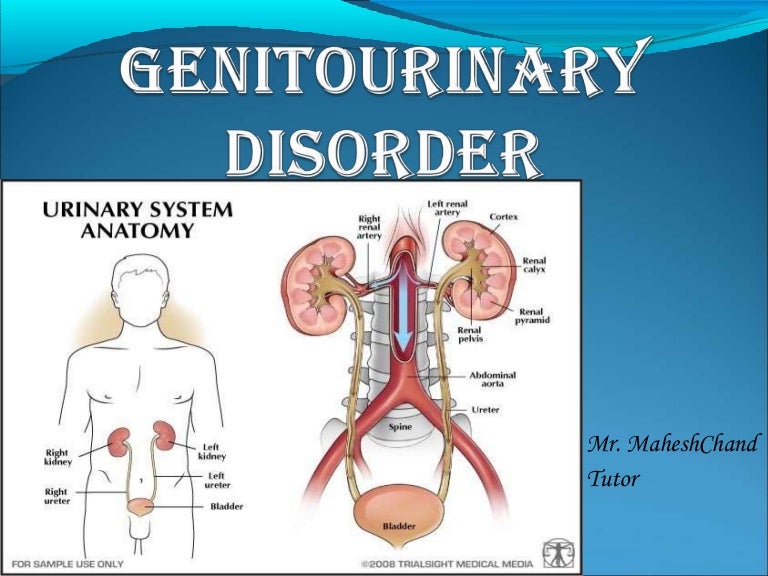 Disorders of genitourinary