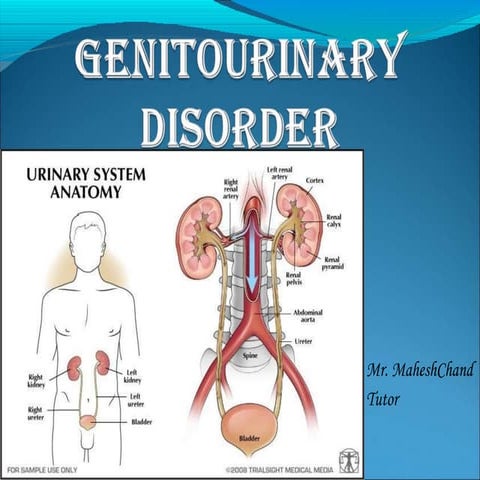 Disorders of genitourinary