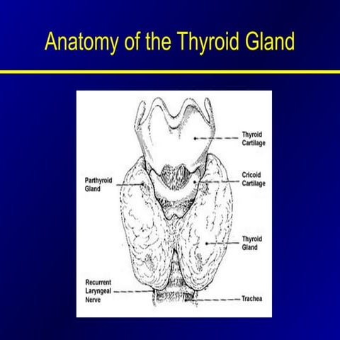 Thyroid Function Tests Clinical Chemistry | PPTX